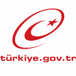 e devlet